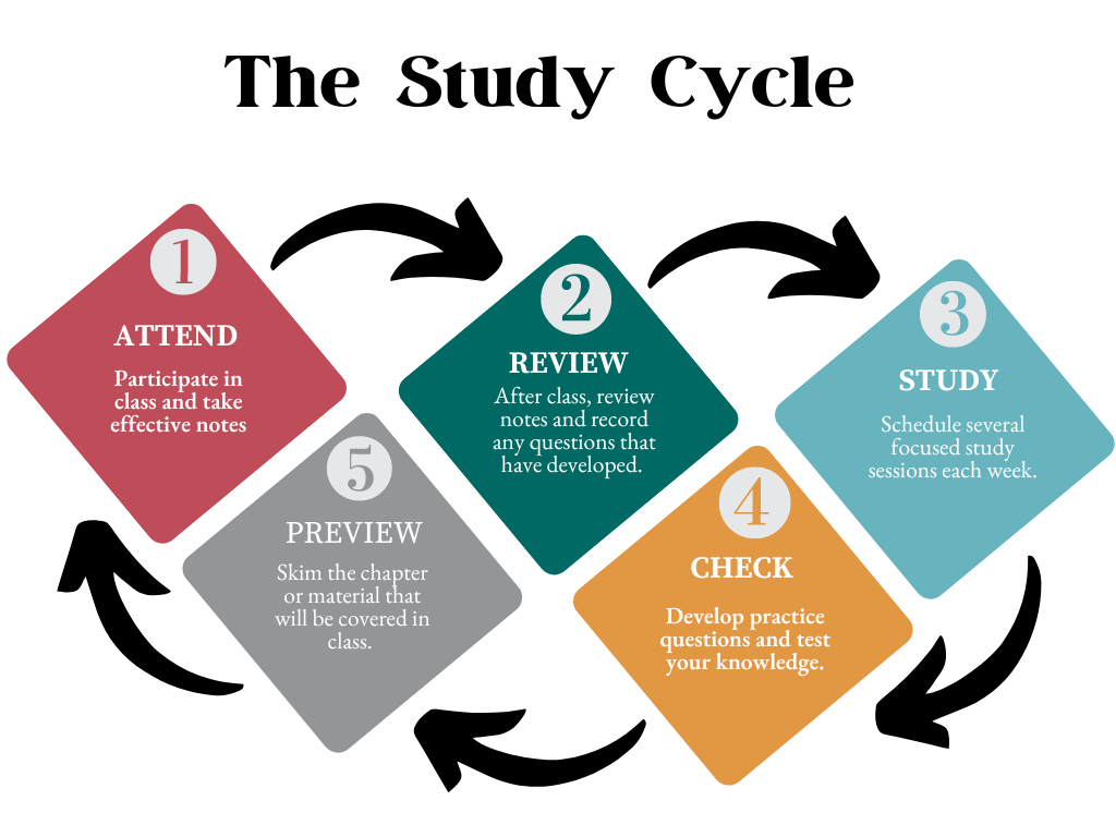 10 effective study guide examples for better exam prep