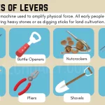 10 Everyday Examples of Third Class Levers in Action 10 everyday examples of third class levers in action