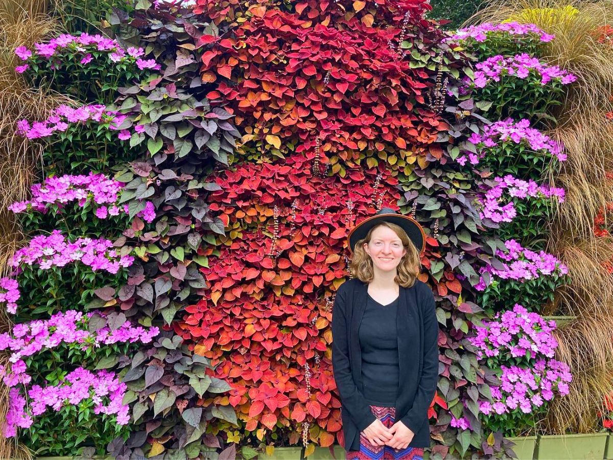 10 plants that grow up walls for stunning vertical gardens