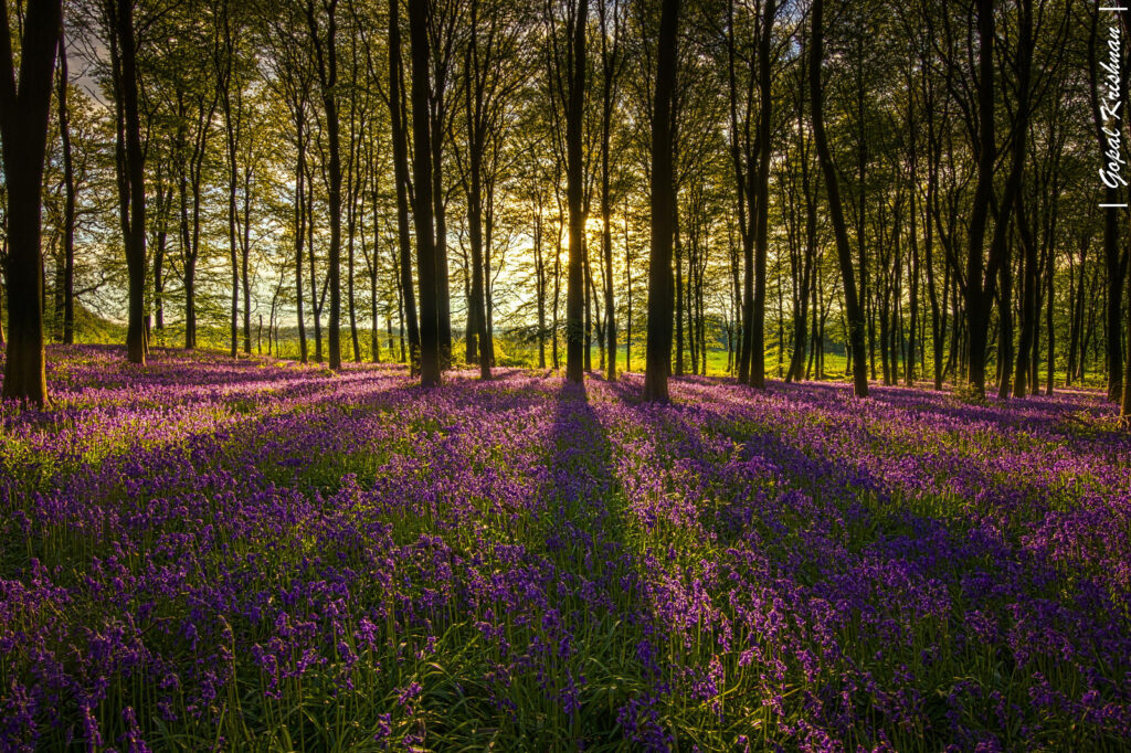 10 stunning examples of leading lines photography