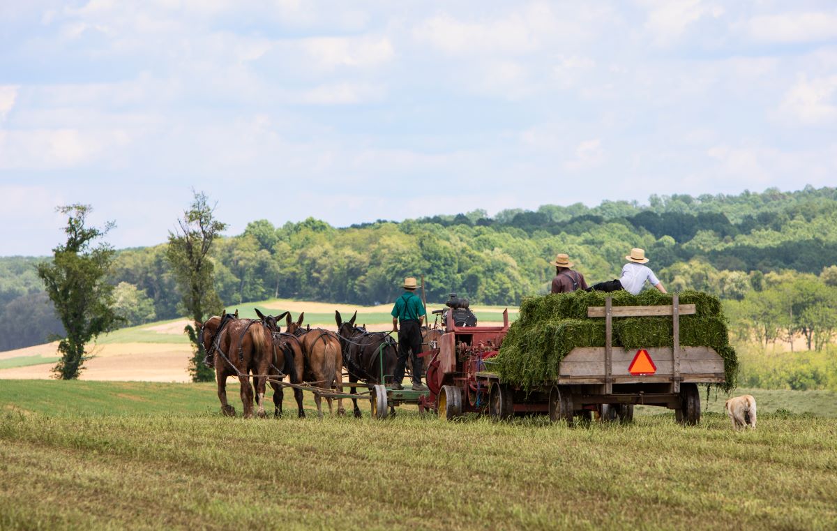 amish in pennsylvania are good examples of sustainable living