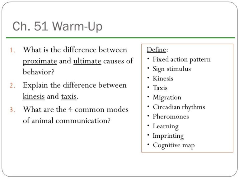 Behavioral Patterns from Proximate Causes: Examples