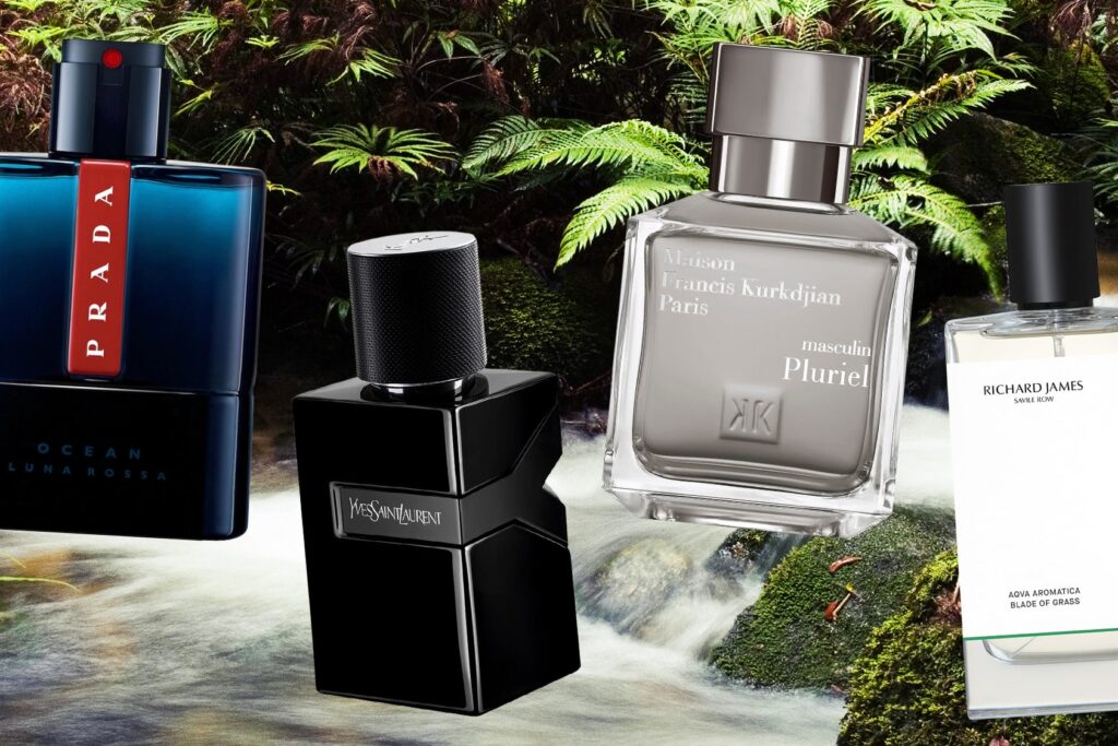 category of mens fragrances aromatic fougere