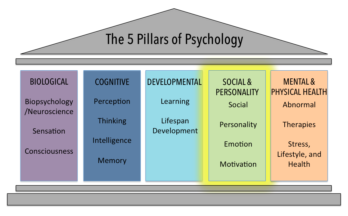 concepts and examples in personality psychology