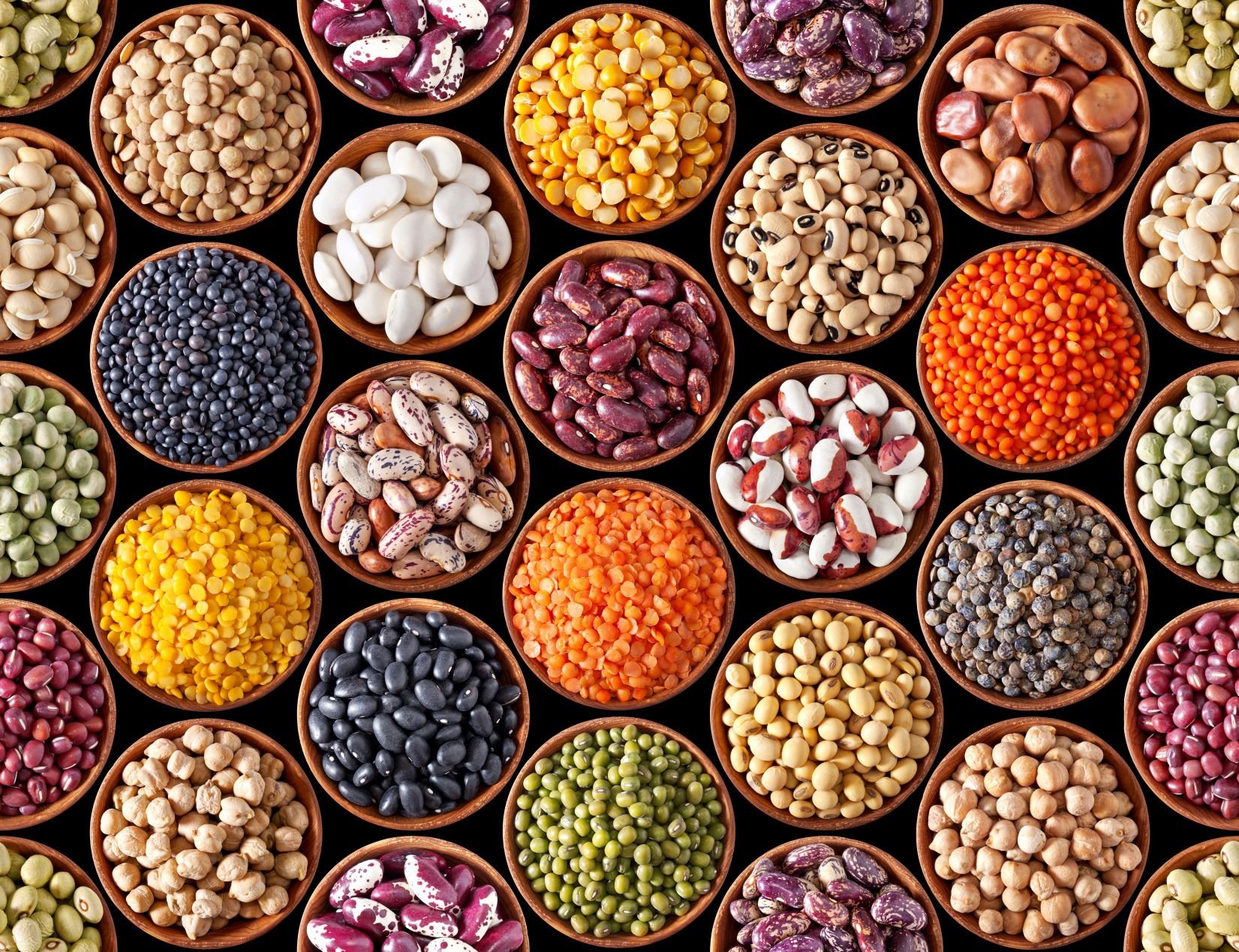 delicious types of beans for healthy meals