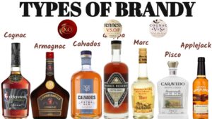 Different Types of Brandy and Their Unique Flavors
