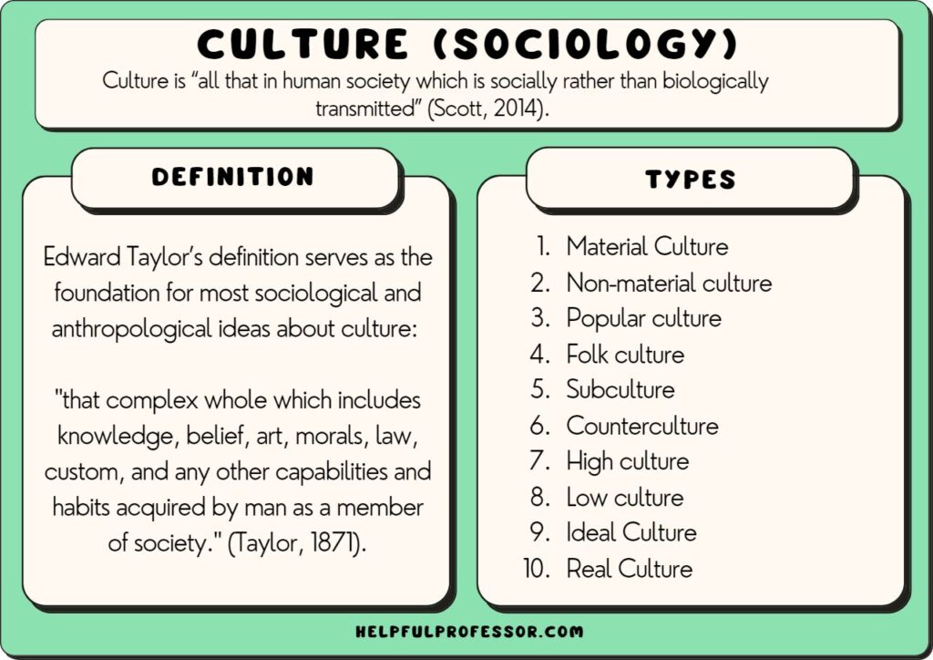 different types of culture examples and insights
