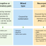Different Types of Pain: Key Examples different types of pain key examples