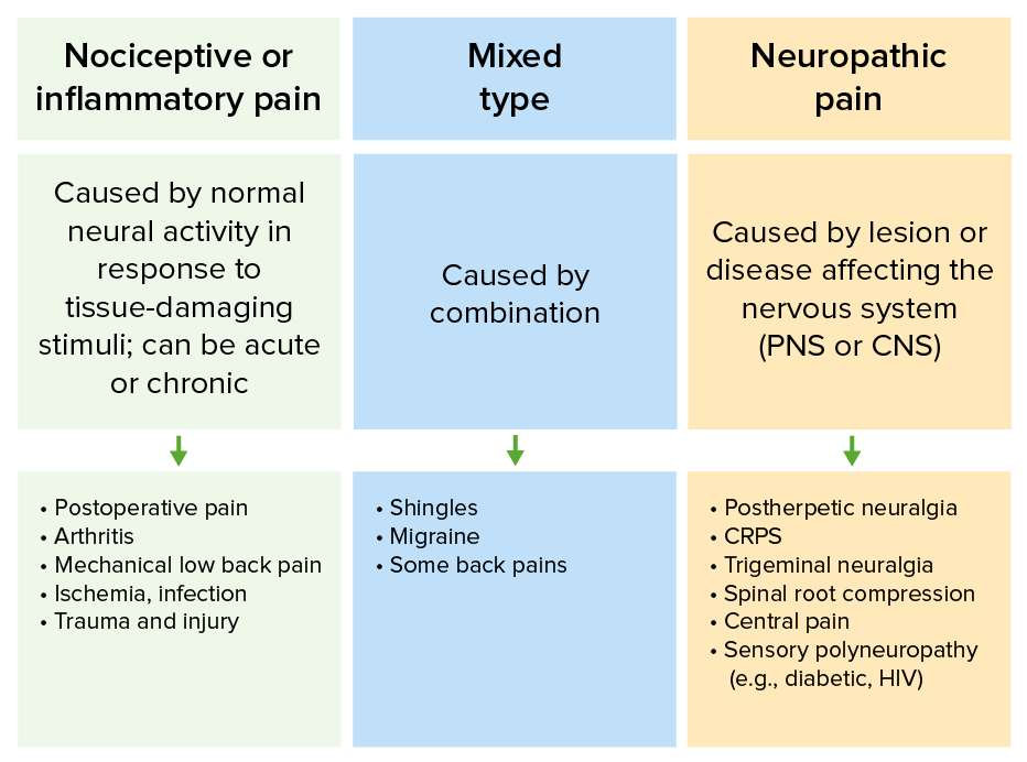 different types of pain key examples