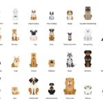 Different Types of Pets for Every Lifestyle different types of pets for every lifestyle