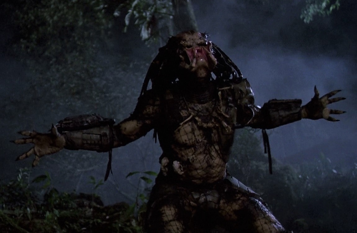 different types of predators and their roles