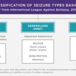 Different Types of Seizures and Their Symptoms different types of seizures and their symptoms