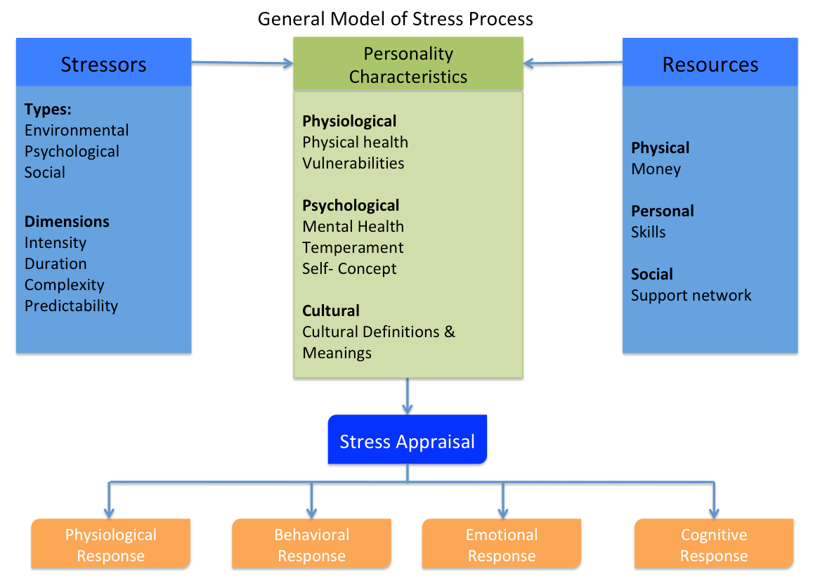 different types of stressors and their effects