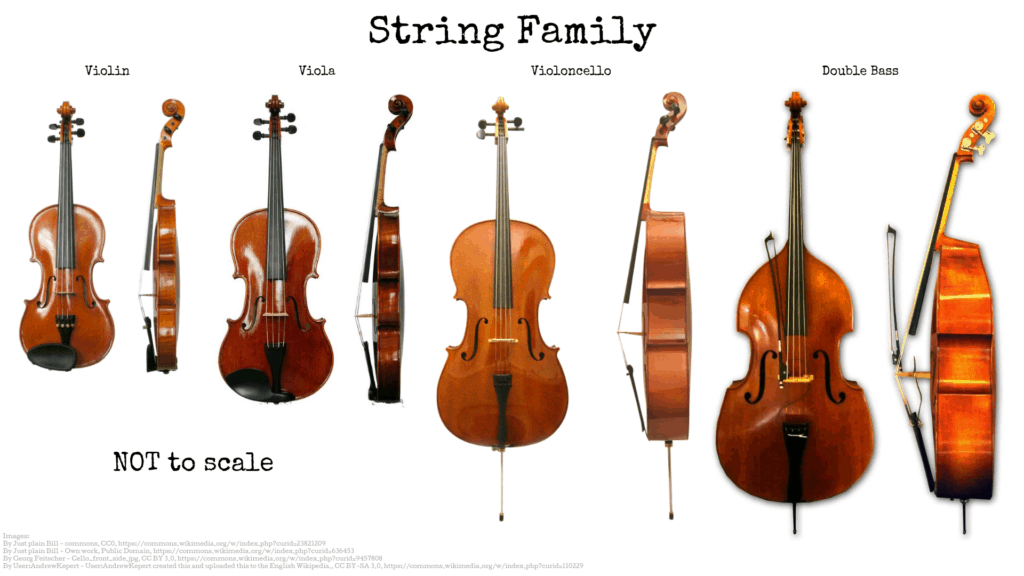 different types of string instruments and their sounds