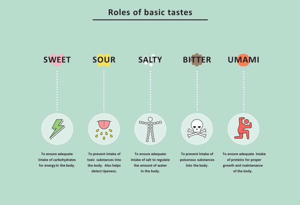 different types of taste in culinary delights