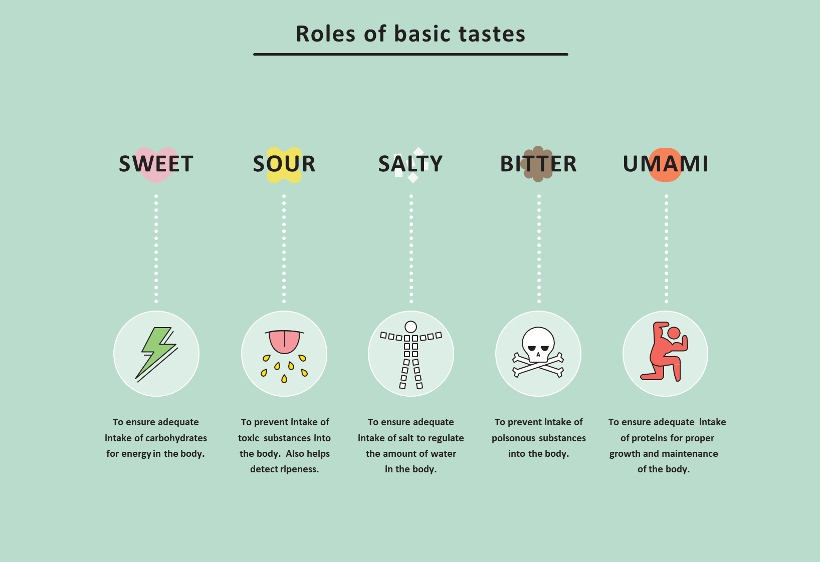 different types of taste in culinary delights