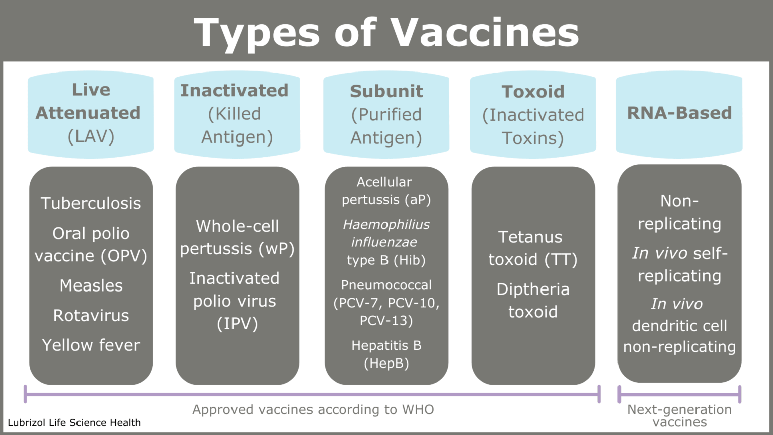 Different Types of Vaccines and Their Examples