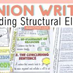 Elements of a Strong Opinion Essay Explained elements of a strong opinion essay explained