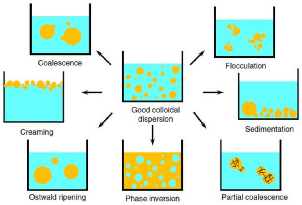 emulsion stability lasting up to six months when stored right