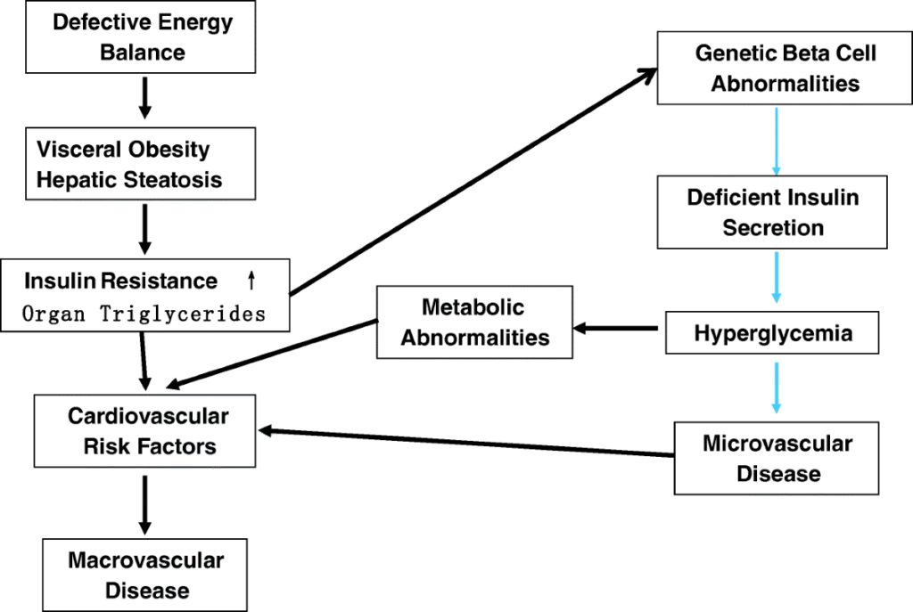 examples and benefits of thiazolidinediones in diabetes