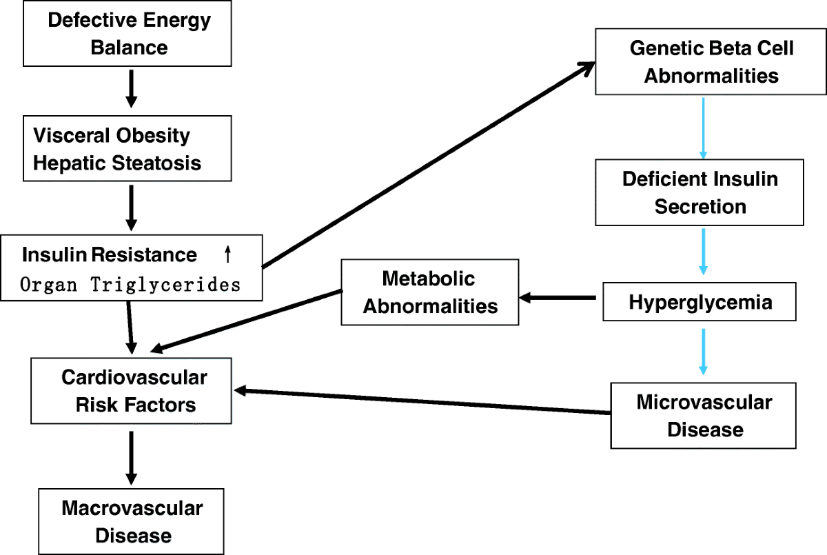 examples and benefits of thiazolidinediones in diabetes