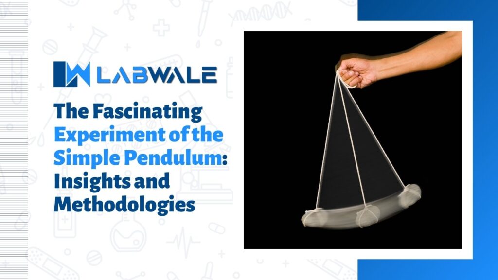 examples and insights what is a pendulum