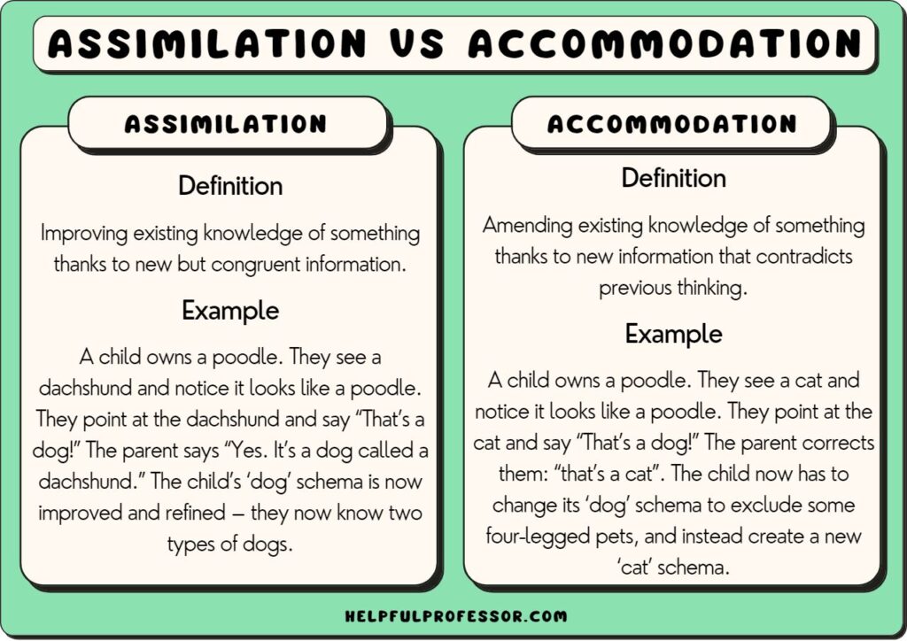 examples illustrating piagets concept of assimilation explained