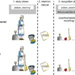 Examples Illustrating the Deese-Roediger-McDermott Paradigm examples illustrating the deese roediger mcdermott paradigm