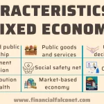 Examples of a Mixed Economy in Action examples of a mixed economy in action
