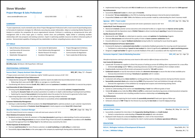 Examples of a Resume for Sales Associate Success