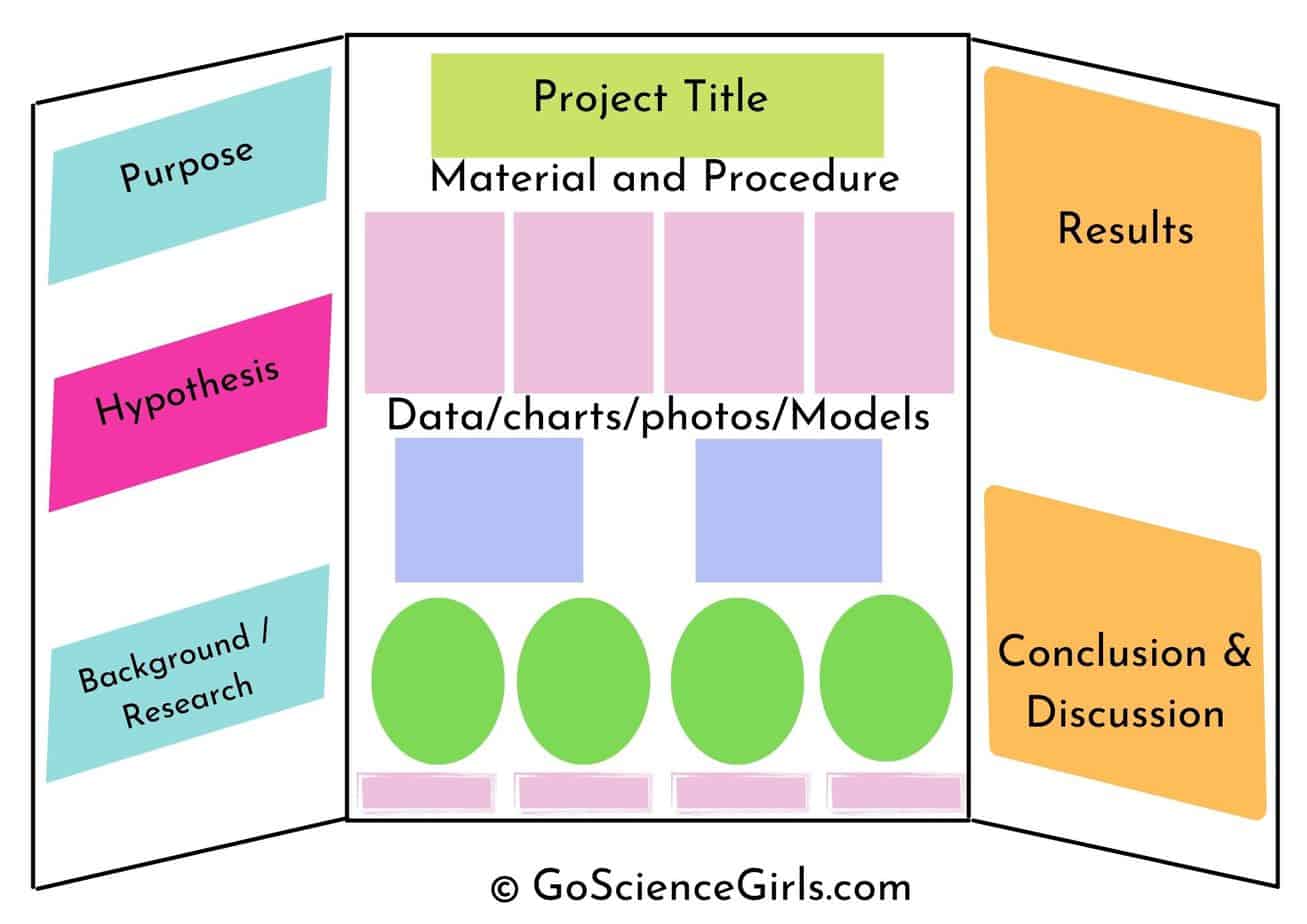examples of a science fair board for success 1