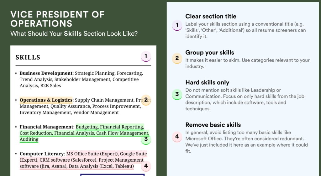 examples of a vice president of operations resume scaled