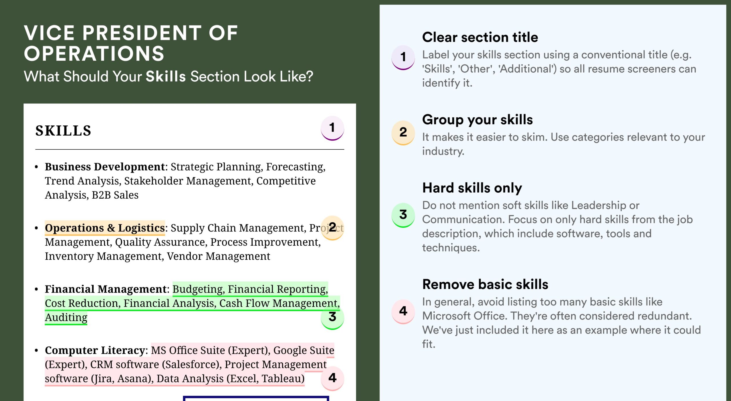 examples of a vice president of operations resume scaled