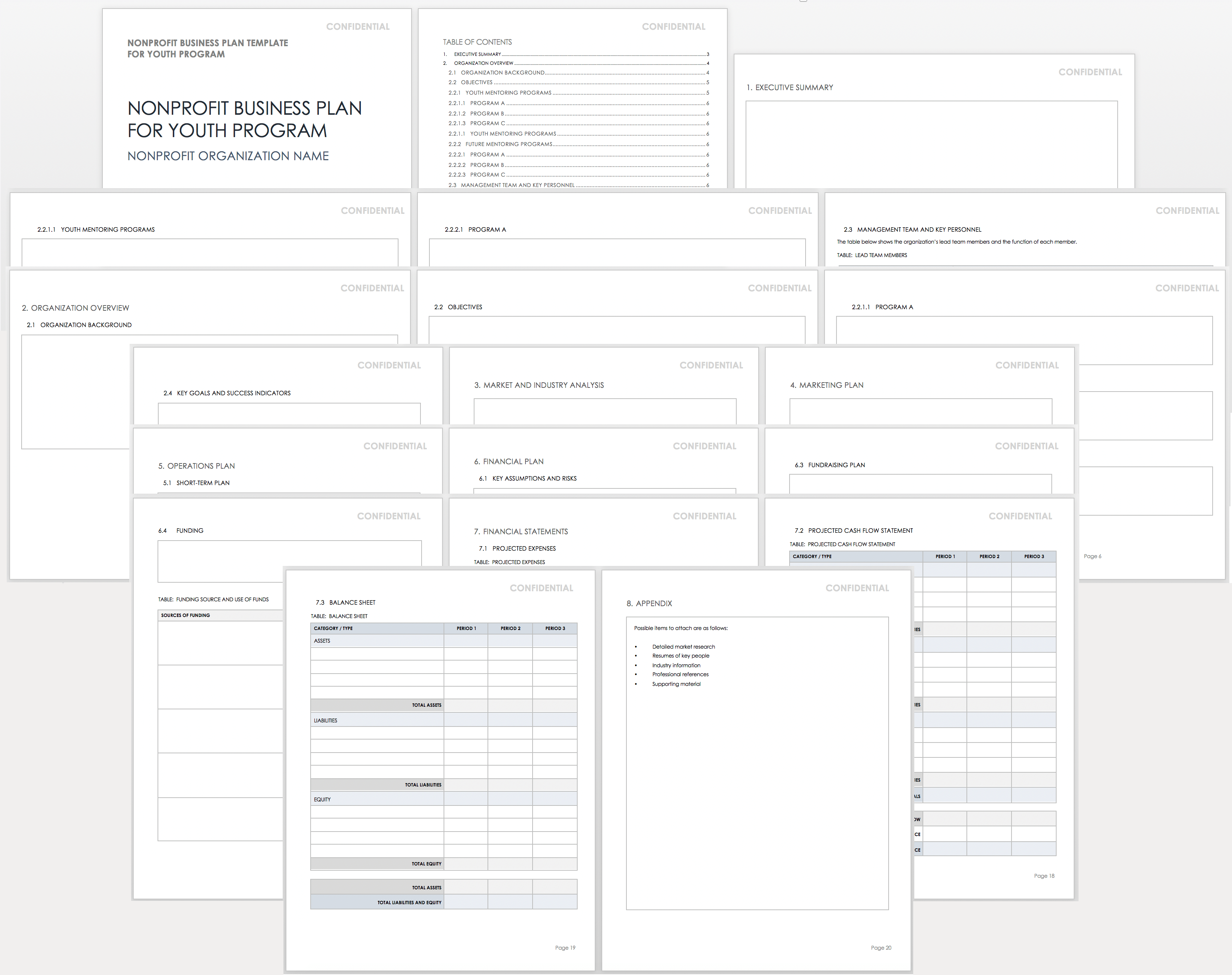 examples of an effective nonprofit business plan