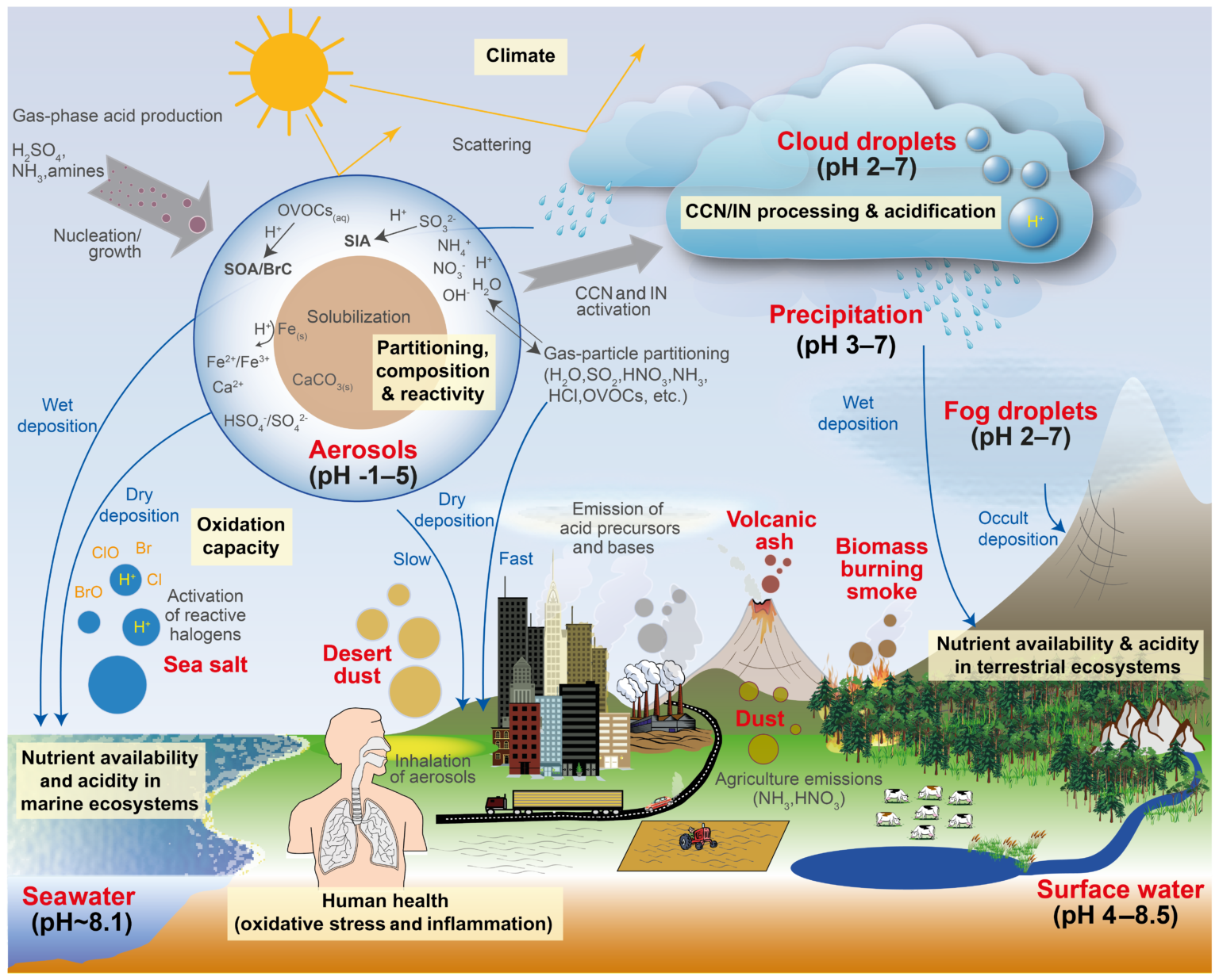 Examples of Anthropogenic Atmospheric Particulates Explained