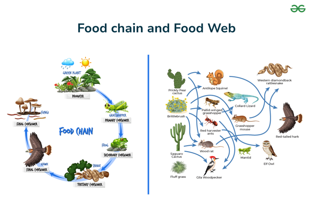 examples of biotic and abiotic factors affecting organism range