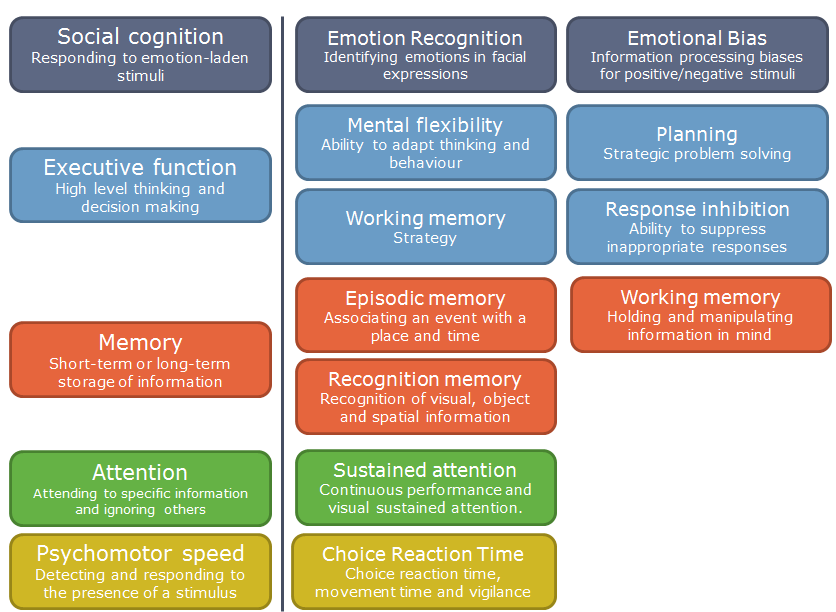 examples of cognition which of the following are they