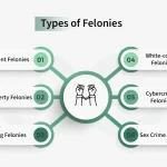 Examples of Criminal Records: Types and Impacts Explained examples of criminal records types and impacts explained