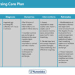 Examples of Health Care Plans: Key Types Explained examples of health care plans key types explained