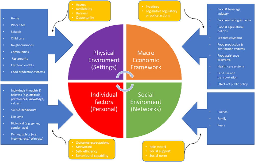 examples of interrelated environmental factors