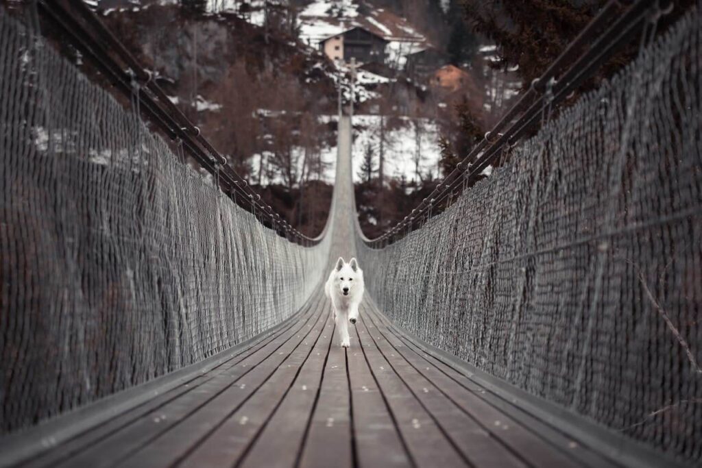 examples of line in photography for stunning compositions