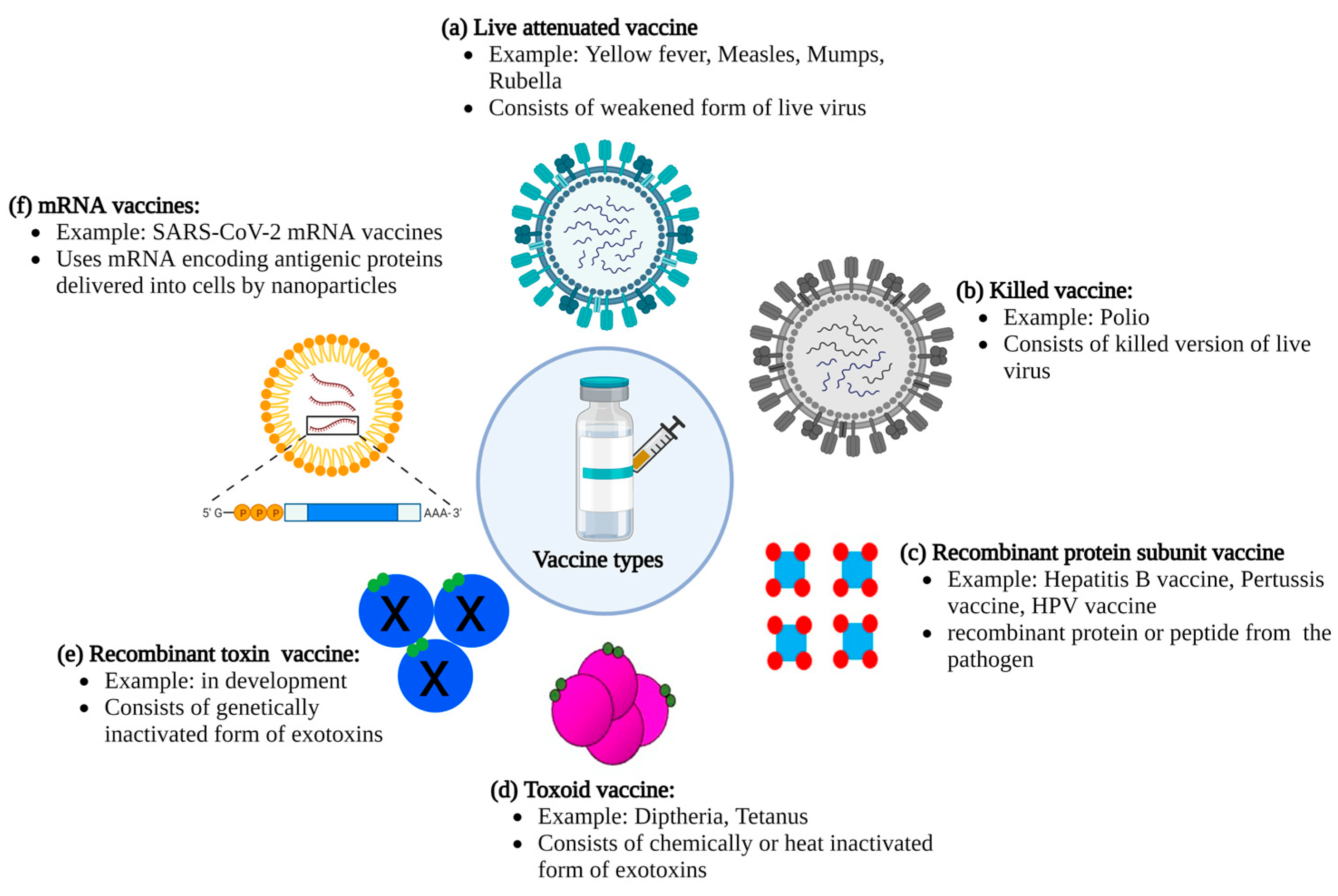 examples of live attenuated vaccines and their benefits