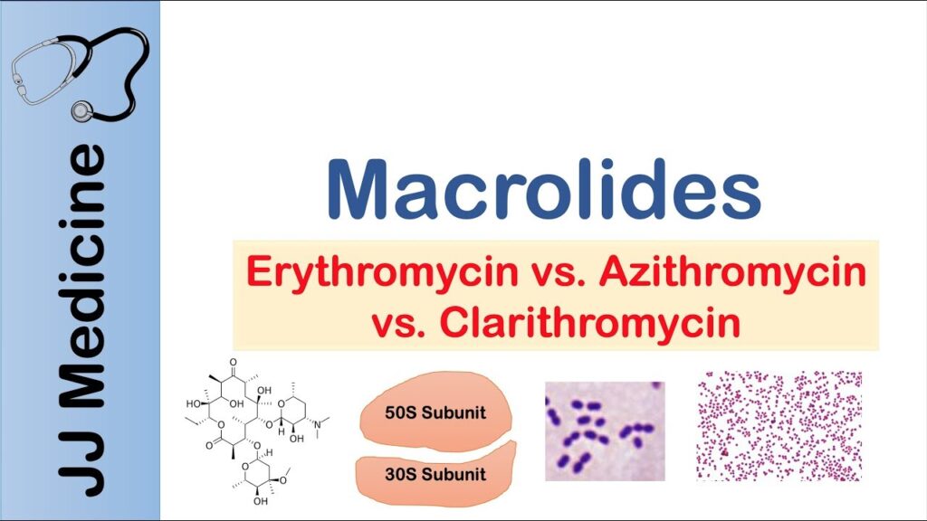 examples of macrolide antibiotics and their uses