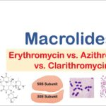 examples of macrolide antibiotics and their uses