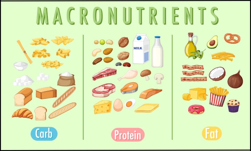 examples of macronutrients for optimal health