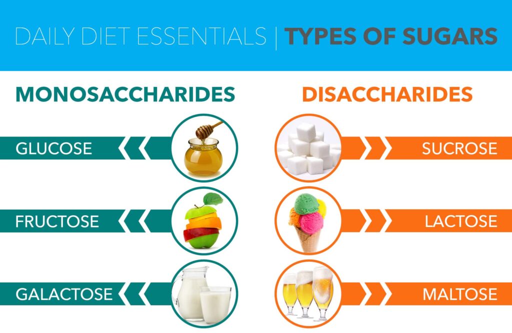 examples of maltose uses benefits and sources