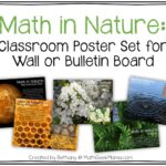 Examples of Math in Nature You Should Know examples of math in nature you should know