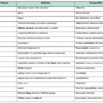 Examples of Medical Terminology for Better Understanding examples of medical terminology for better understanding