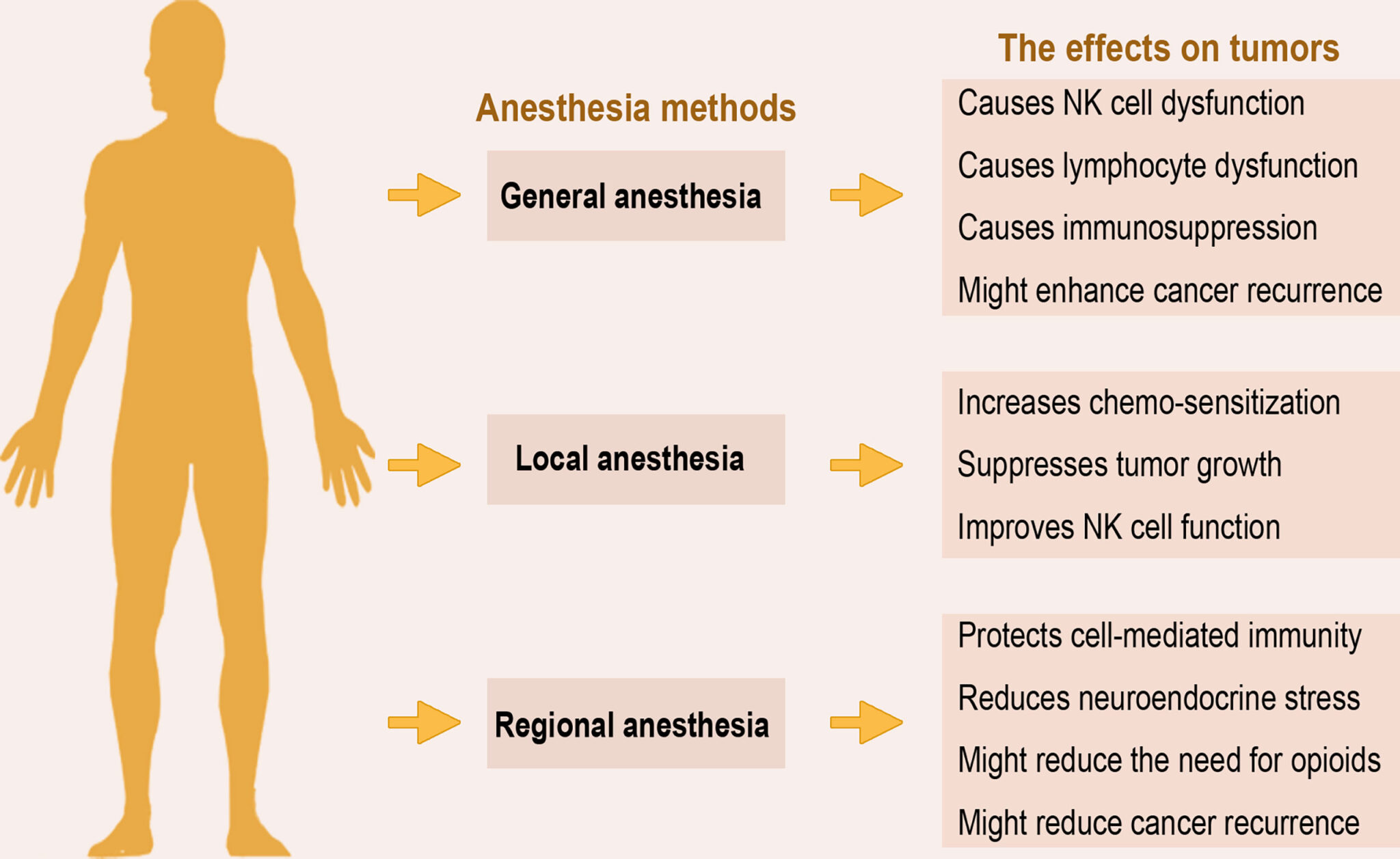 Examples of Mets Anesthesia in Cancer Surgery