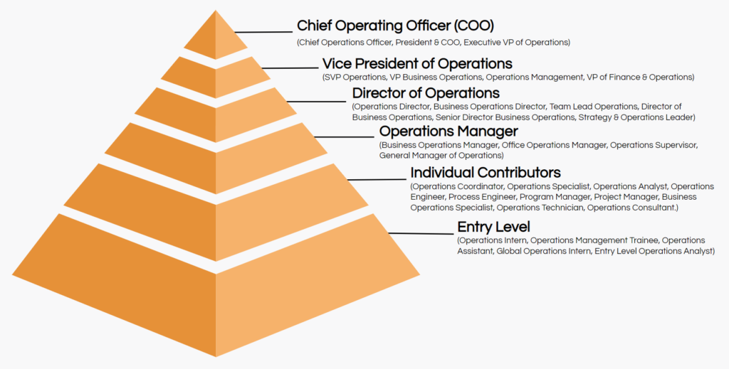 examples of middle management job titles you should know